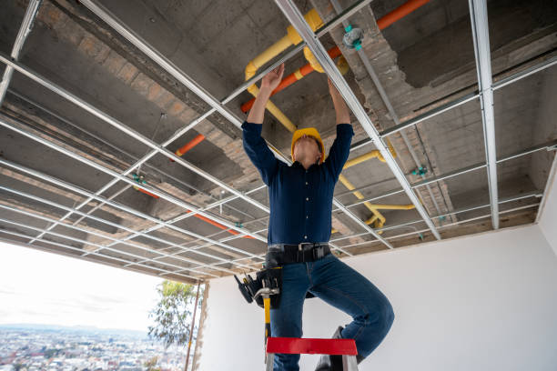 Best Leak Detection Services  in Forest Hill, TX